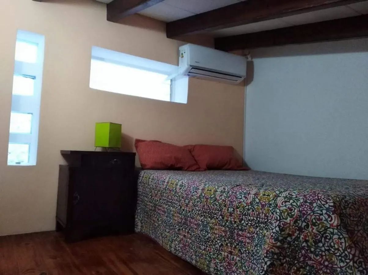 Loft Del Centro Mendoza Apartment Argentina